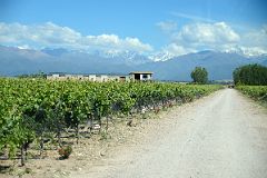 03-02 Driving Up To Domaine Bousquet With Flowers Next To The Vineyard In Uco Valley Mendoza.jpg